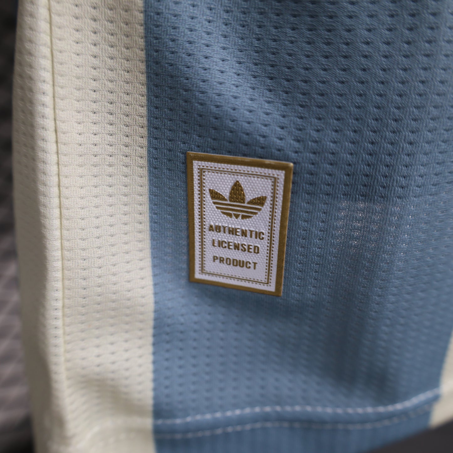 2024 Player Jugador Argentina Edición Especial